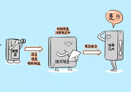 娱乐吃瓜冷知识,娱乐圈那些鲜为人知的“吃瓜”冷知识揭秘