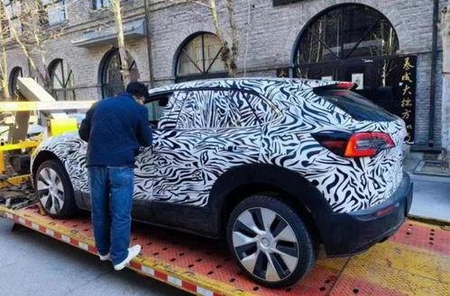 马斯克爆料新车视频大全,未来出行新篇章  第2张