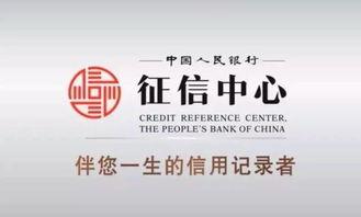 东坑最新爆料,揭秘神秘事件背后的真相